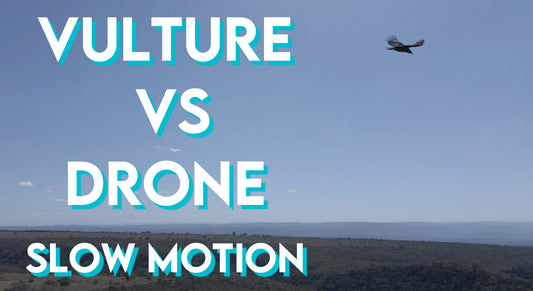 Abutre Vs Drone